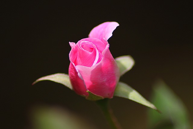 Heal You First/You cannot help if you do not.